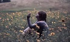 内心深处充满痛苦的凝视：揭示那些细微但鲜明的情感矛盾