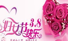 庆祝国际妇女节，分享你的感想和短语，表达你对妇女权益和平等的支持和祝福