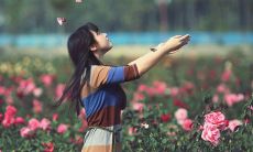 经年累月收集的数不尽的唯美句子汇集，送给你最温馨的灵感与诗意！