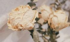 如何撰写引人入胜且高转化的小众文案?分享高质量撰写技巧、案例剖析与实践经验!