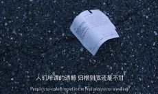 在深夜静谧的时刻,分享内涵句子,表达心情的感悟与思考