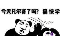 展现瑞典文学魅力的凡而赛图片分享：让视觉和语言交织，感受文学的魔力！