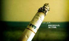 当你无聊或不开心时，请来找我，我会陪伴你度过难关