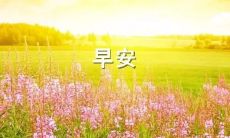 每日早安暖心话:简短而富有温暖的句子,为您带来每日心灵抚慰之道