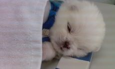 强大而鼓舞人心的句子,鼓励自己迎接挑战并实现自己的梦想