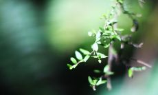 亲情的纽带无法被任何剪刀割裂:探究人类最珍贵的情感纽带