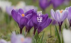 一大波正能量醒脑语句，启迪你的一天，愉快迎接早晨！