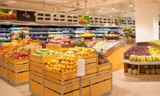 欢迎来到我们的全新开业水果店，品味纯正新鲜的水果，享受无限的健康好处！