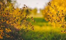 被遗憾填满的话语：做了之后让自己后悔的句子们