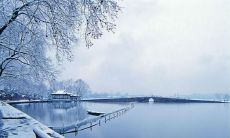 最新发布的充满唯美伤感的文艺句子汇总