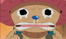 最佳惹怒他人的语句之——基于传统歇后语的骂人版本