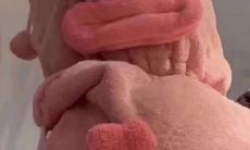 让你忍俊不禁的有关对学校的厌恶感的笑话和俏皮话