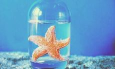 让QQ用户感到失望的话语：分享心情的Qzone中的表达