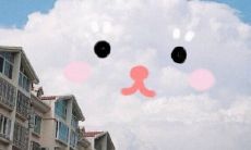 喜欢甜蜜句子的少女们别错过,这里有一份让你心花怒放的超甜短句大全!