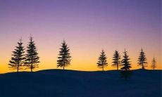 一份真挚而深厚的少女友情：温暖 、令人向往且令人鼓舞的细腻描写