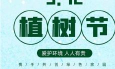 盘点植树节的优美句子,让绿色成为人间最美的颜色