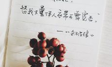 在寒冷的冬日里，如何措辞情话向心爱的人表达心意？ - 探索冬日表白情话的艺术技巧