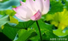 阅读有镇静效果的有趣语句,它们可以使人们放松心情和减轻压力