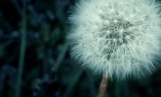 让家庭充满温馨和爱的感人句子