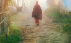 面对亲情失望时的内心抒发：如何说出真实的情感描述？