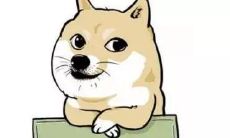 独身狗分享经典言辞:句句戳心,让你感受单身之美