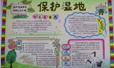 湿地日主题手抄报：探究湿地日的来源和意义，汇总各类湿地保护相关素材，详述湿地的重要性及保护方法！