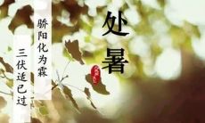 发给亲朋好友的温馨祝福：祝你在这个处暑时节健康快乐、一帆风顺，生活幸福美满，万事如意，心想事成！