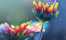 如何设计英语节口号征集活动的装饰元素,让它更加吸引人并增强活动的视觉效果?