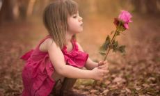 的伤感痴情句子，让人感受到失落和无奈的情感波动