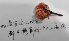 不舍得终止关系的痛苦失恋语句