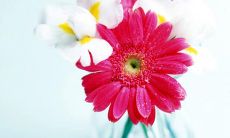 为何应该在生命中珍惜亲情关系:感性劝诫之句