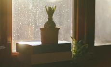 享用美味佳肴后在朋友圈分享的幸福流露:热情洋溢的美食评论