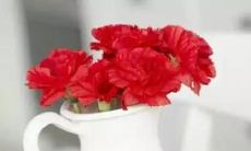 一些安慰节哀顺变的短句来帮助你面对悲伤和变化的挑战