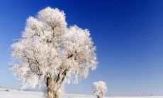 随着气温骤降，寒冷的冬季已经到来，如何保持身体的温暖成为了每个人都极为关注的问题——天冷了，大家千万要注意保暖，不然可能不小心患上诸如感冒、发烧等疾病，让身体受到严重的伤害！