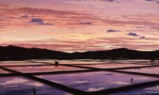 女人的心碎爱情句子 - 探究内心痛苦的情感表达