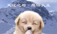 有关幽默的智慧名言：笑对人生，收获快乐的智慧！