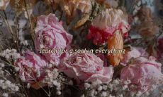 这些最具激励力、最能激发燃烧斗志的励志句子