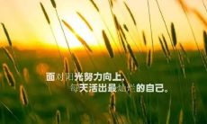 分享:45个充满正能量的人生感悟短句,让你更加坚定前行的信念!