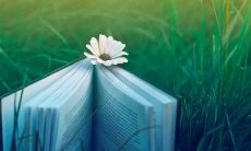 用抒情句子表达关于幸福的感受,唤起内心的温暖和美好体验