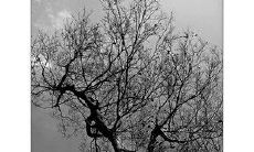 如何用一条温馨的短信给你喜欢的人送去问候和心意？