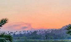 深刻表达对爱人失望情感的极度伤心句子