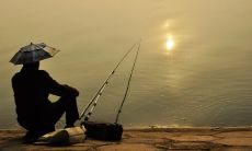 捕捞活动：猎取深海水域各色鱼群的详实描写