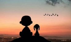 沉浸在情感的海洋中:一系列让你共鸣的抒情句子