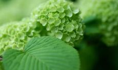 用温暖的短句给心灵增添温馨 - 关于空间的发言分享