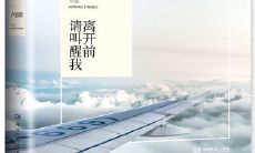 在你离开之前,求你叫醒我:一个备受推崇的经典语录