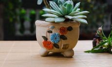 述说心情，赏析唯美关于亲情的句子