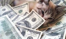 30个让你收到红包后开心不已的句子,立即解锁好心情!