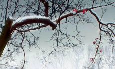 不要欺骗友情:探讨如何避免对友谊的伤害和维护良好的人际关系