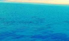 在炎炎夏日，通过关怀短信向客户表达问候之心的有效营销策略