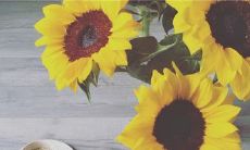 探索正能量的世界：激励人心的励志句子让你充满力量与勇气！